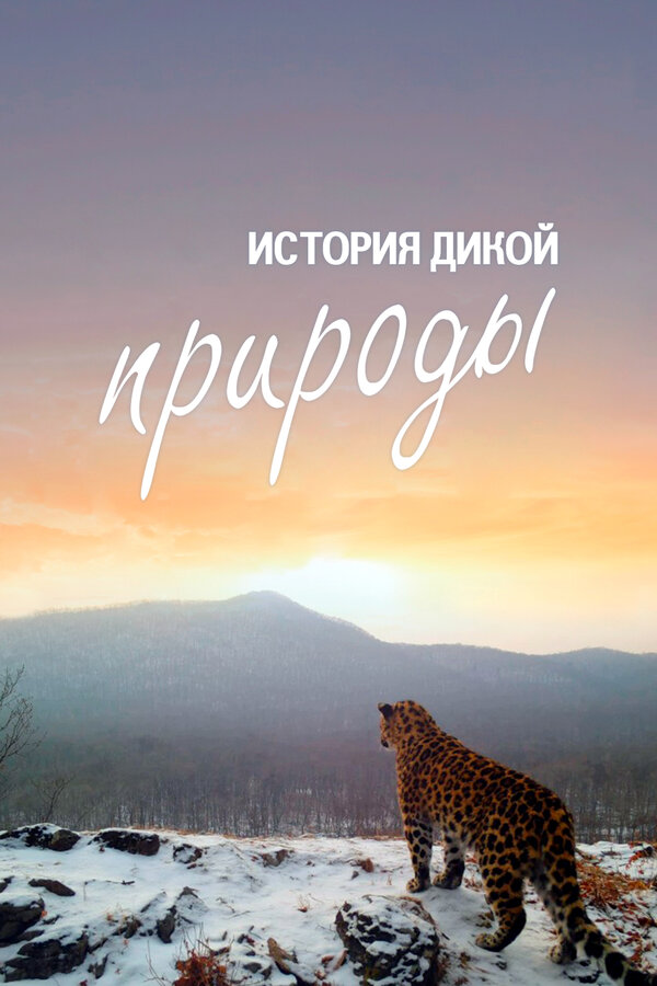 Постер: История дикой природы (2020)