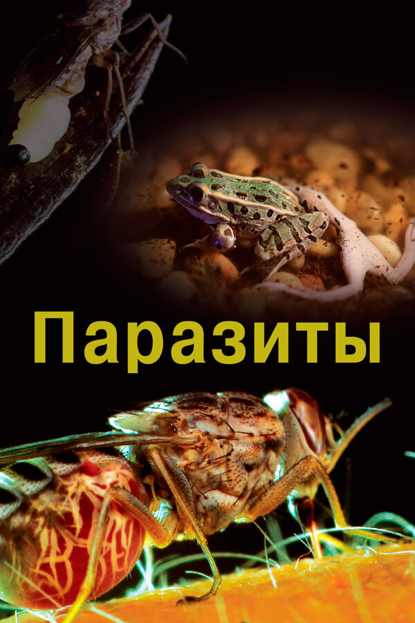 Постер: Паразиты (2014)