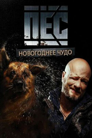 Постер: Пёс. Новогоднее чудо (2018)