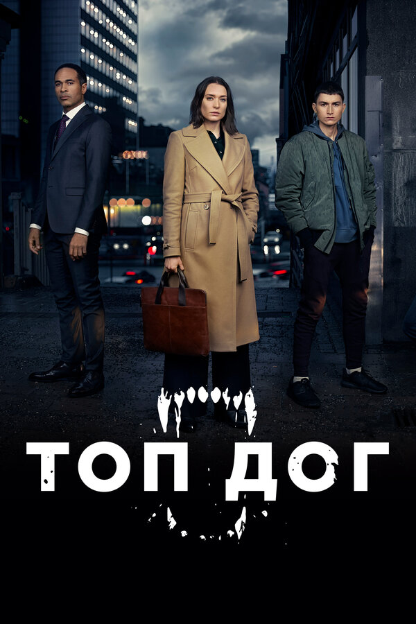 Постер: Топ дог (2020)
