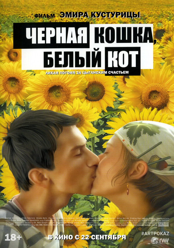 Постер: Черная кошка, белый кот (1998)