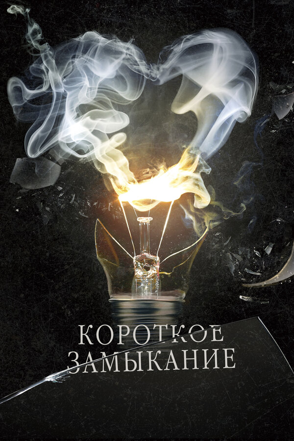 Постер: Короткое замыкание (2009)
