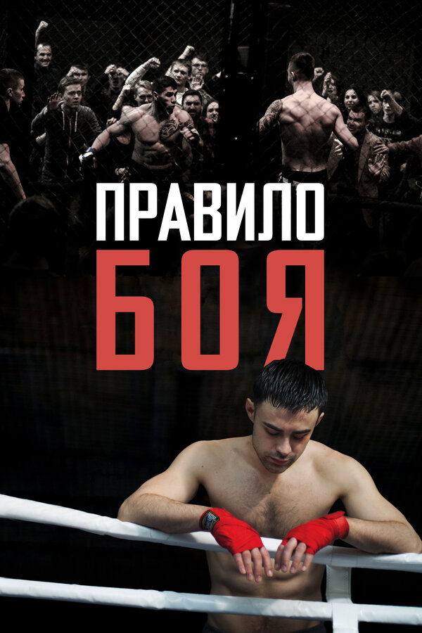 Постер: Правило боя (2017)