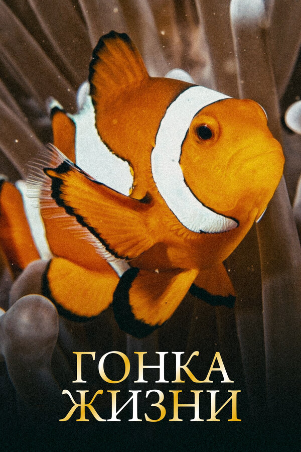 Постер: Гонка жизни (2015)