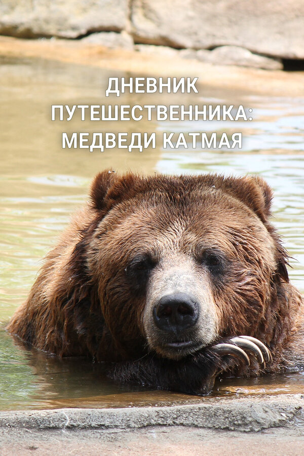 Постер: Дневник путешественника: Медведи Катмая (2022)