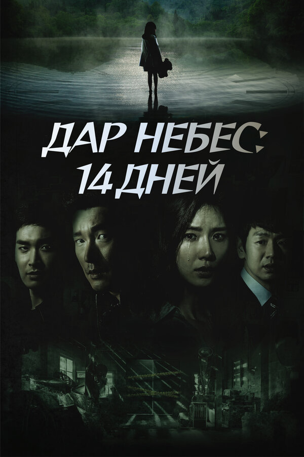 Постер: Дар небес: 14 дней (2014)