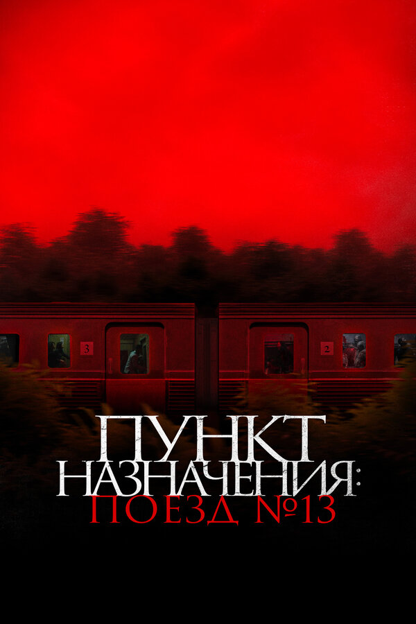 Постер: Пункт назначения: Поезд № 13 (2024)