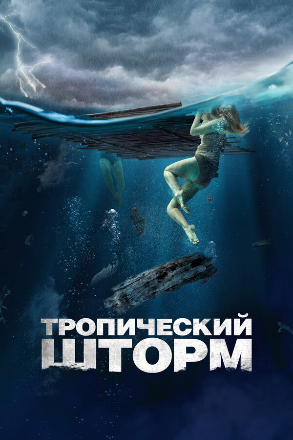 Постер: Тропический шторм (2022)