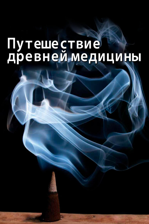 Постер: Путешествие древней медицины (2010)