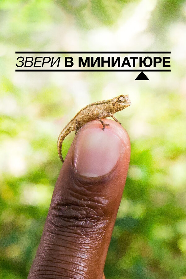 Постер: Звери в миниатюре (2017)