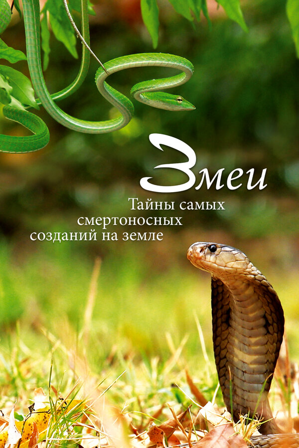 Постер: Змеи. Тайны самых смертоносных созданий на земле (2014)