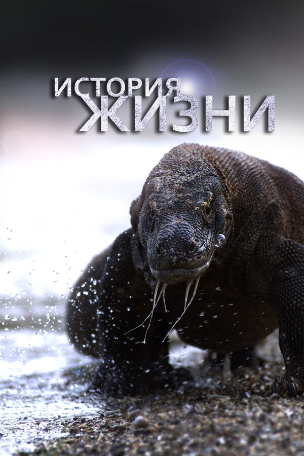 Постер: История жизни (2012)