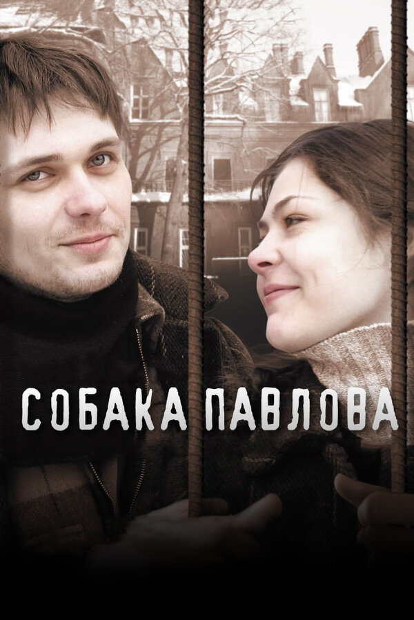 Постер: Собака Павлова (2005)