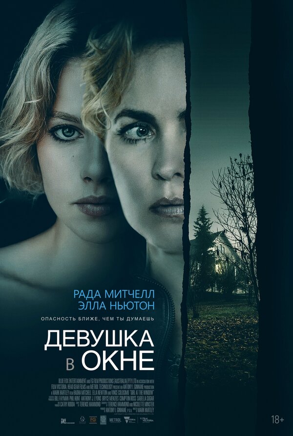 Постер: Девушка в окне (2022)