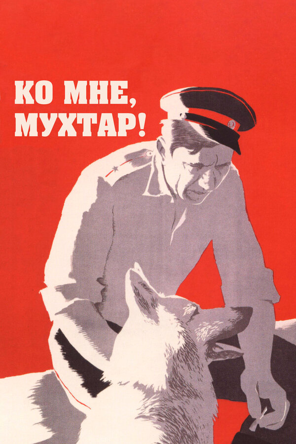Постер: Ко мне, Мухтар! (1964)