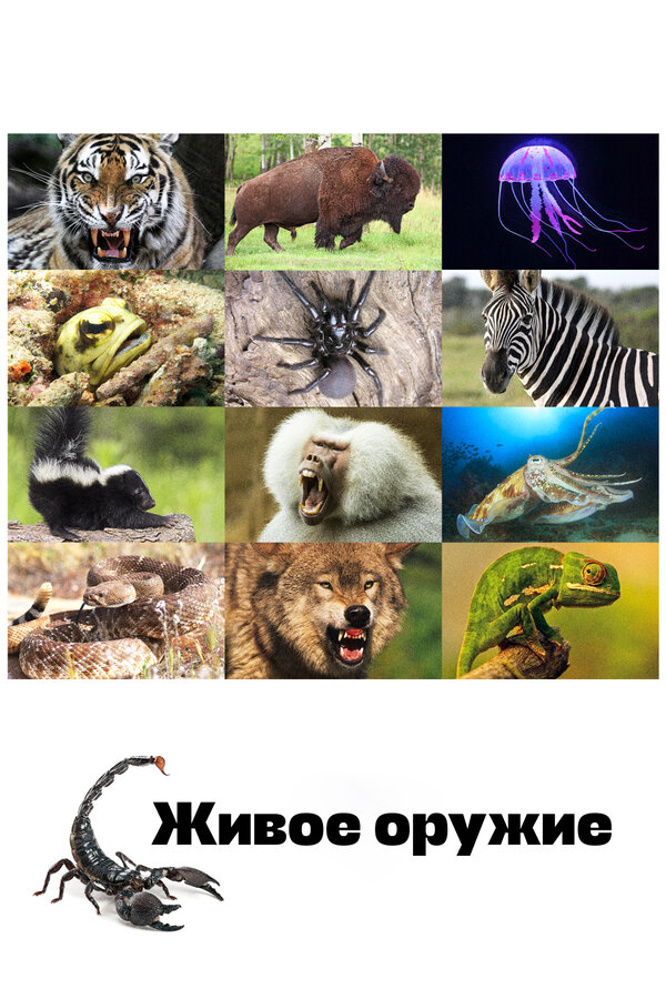 Постер: Живое оружие (2016)