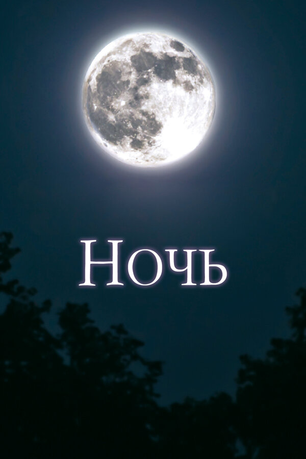 Постер: Ночь (2018)