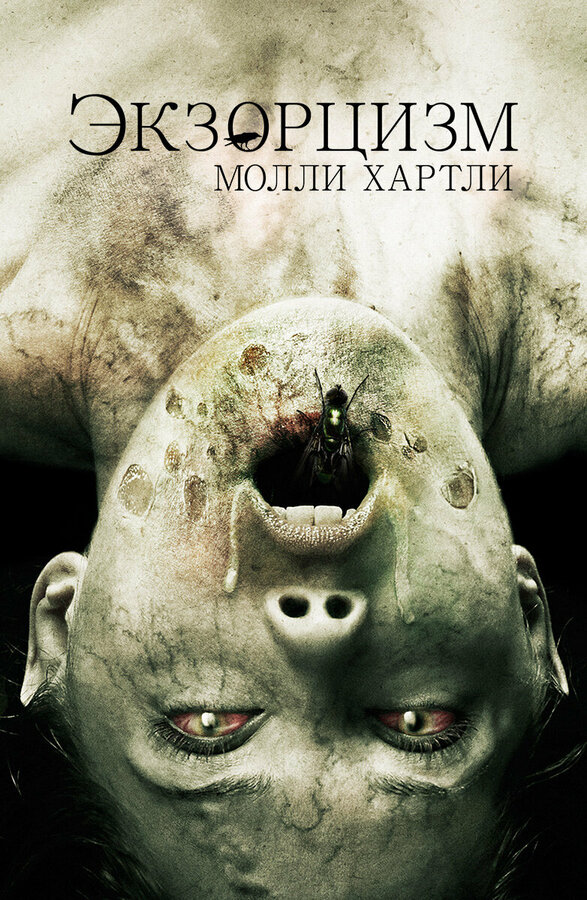 Постер: Экзорцизм Молли Хартли (2015)