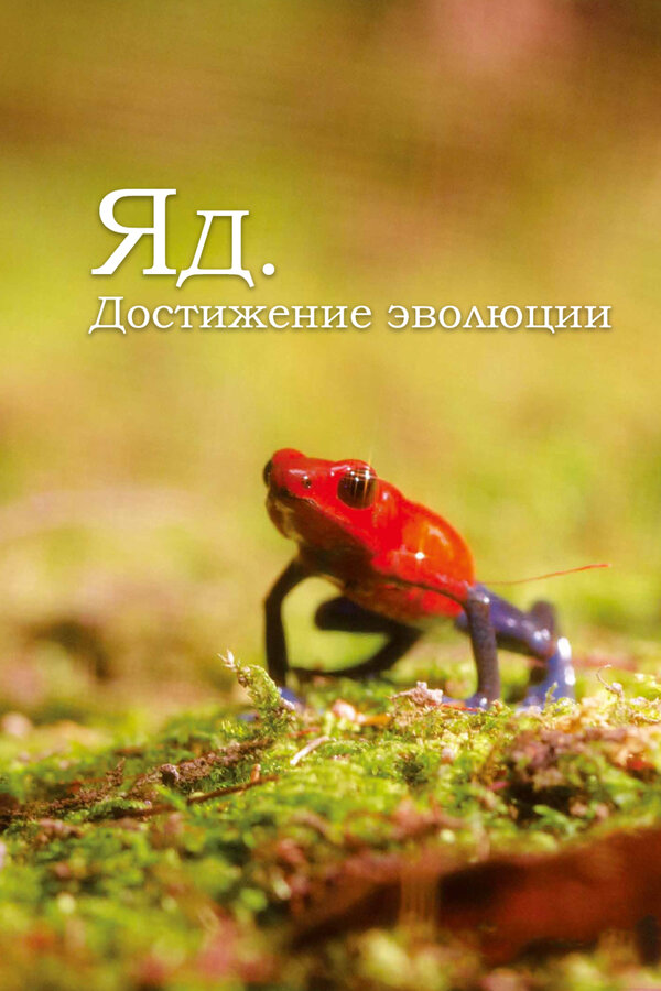 Постер: Яд. Достижение эволюции (2015)