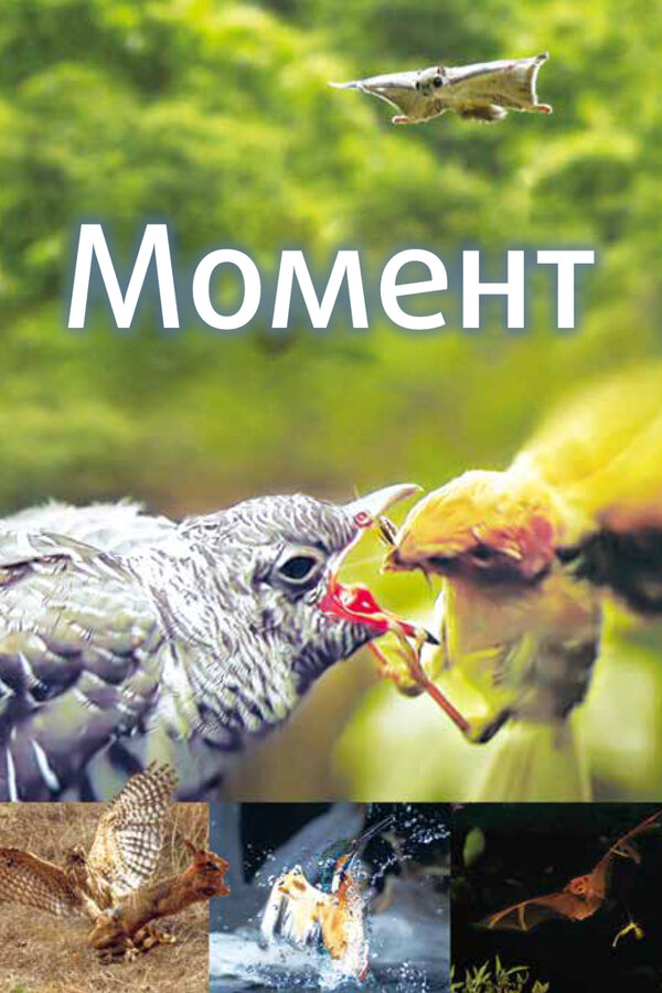 Постер: Момент (2016)