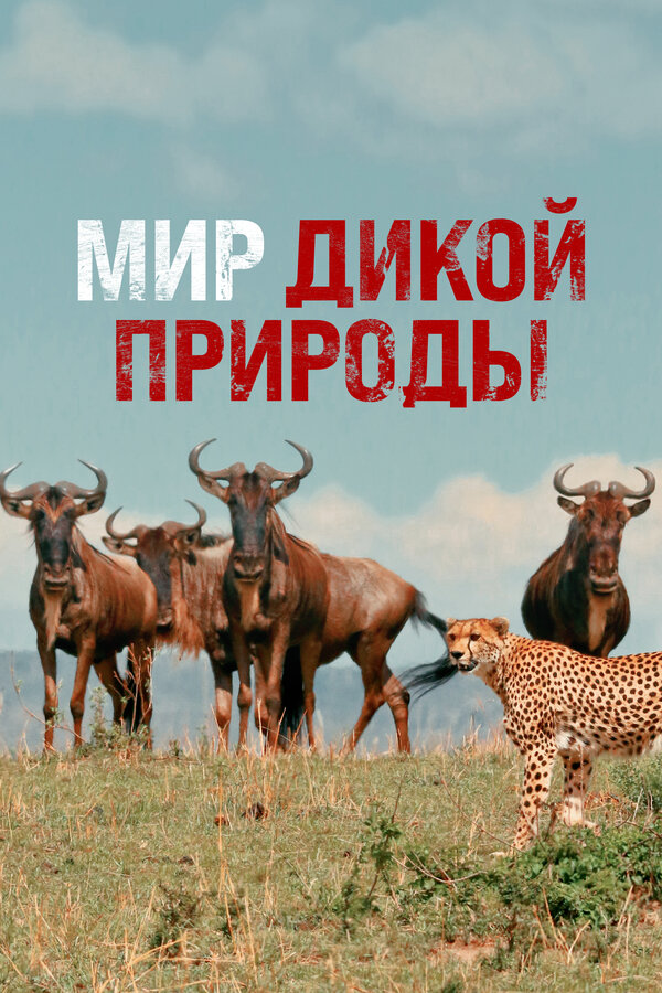 Постер: Мир дикой природы (2014)