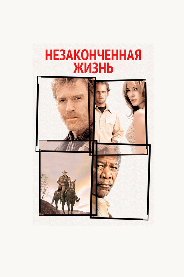 Постер: Незаконченная жизнь (2004)