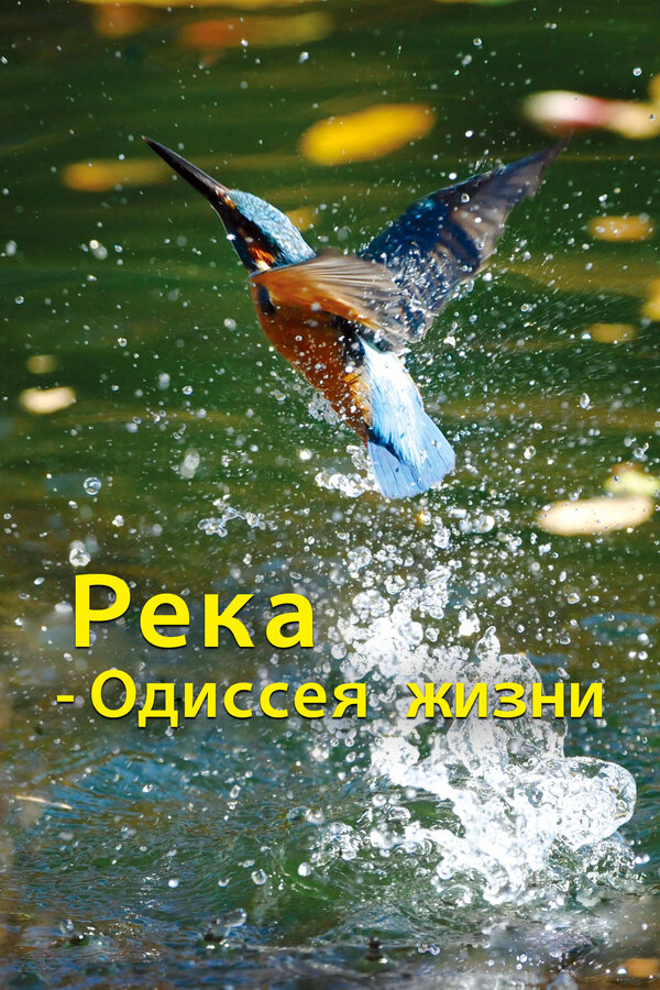 Постер: Река — одиссея жизни (2013)