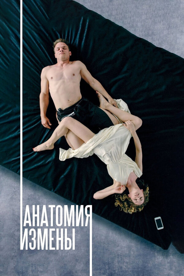 Постер: Анатомия измены (2017)
