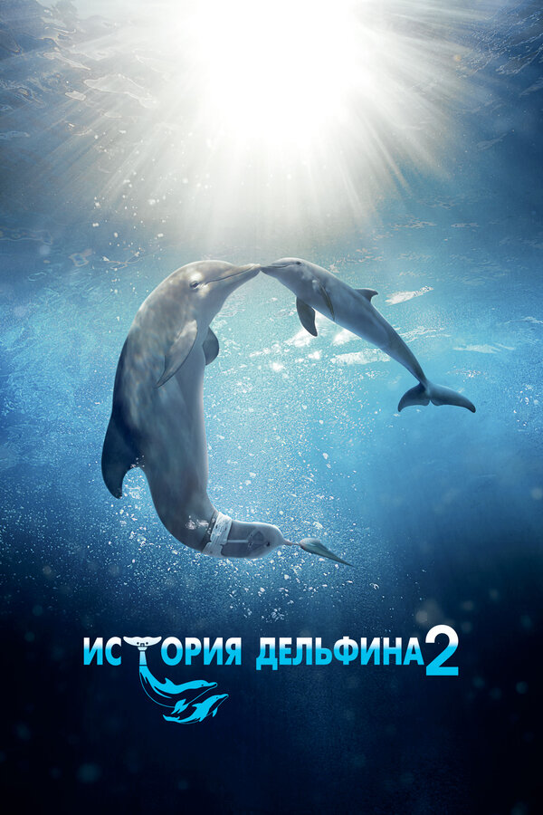 Постер: История дельфина 2 (2014)