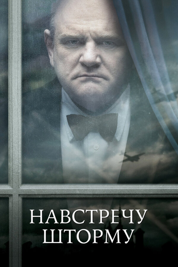 Постер: Навстречу шторму (2009)