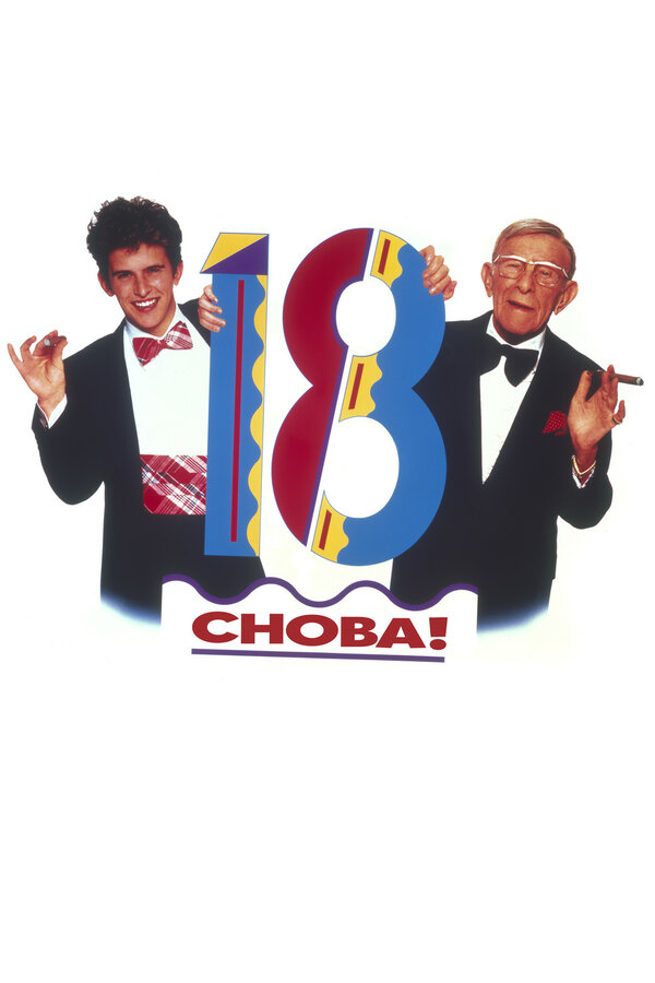 Постер: Снова 18! (1988)