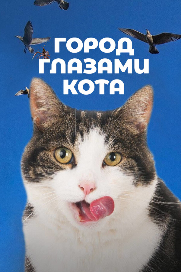 Постер: Город глазами кота (2018)