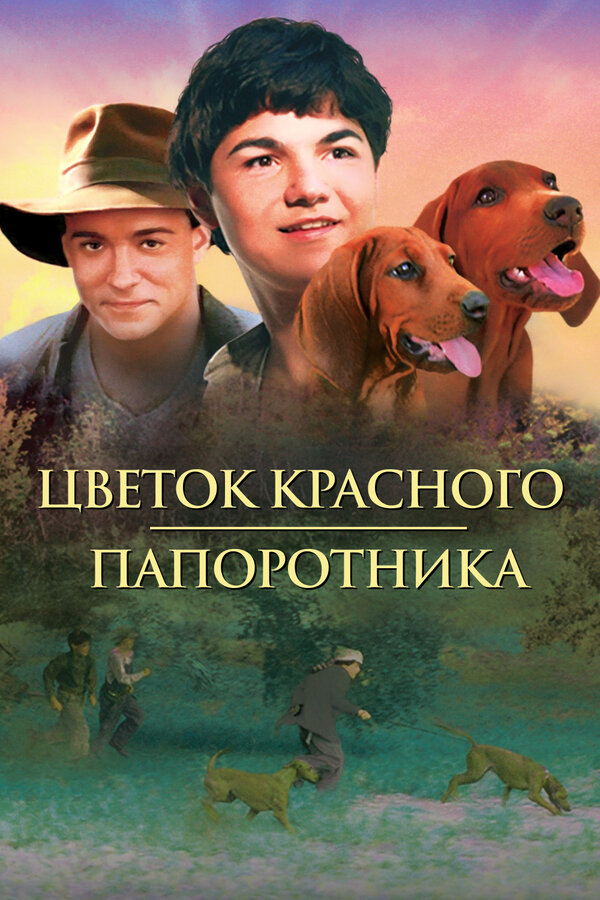 Постер: Цветок красного папоротника (2003)
