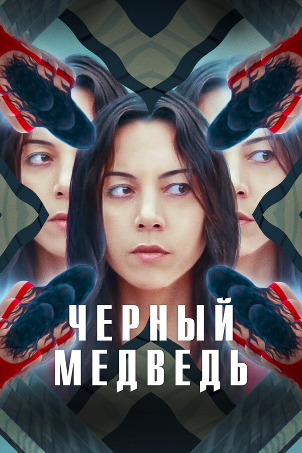 Постер: Чёрный медведь (2020)