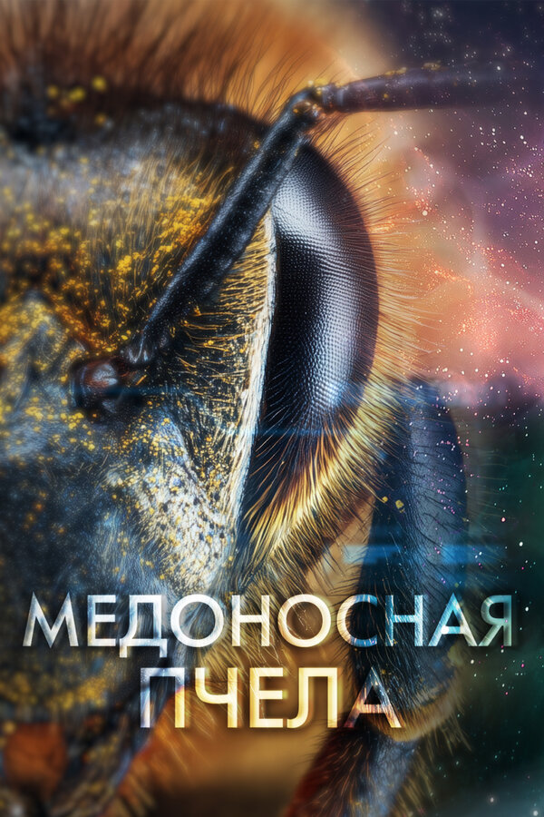Постер: Медоносная пчела (2025)